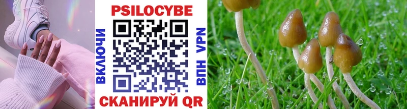 Галлюциногенные грибы Cubensis Ишим